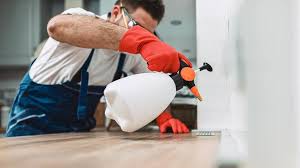 Best Pest Prevention Services  in Gang Mills, NY