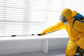 Best Termite Inspection and Treatment  in Gang Mills, NY